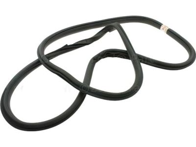 HL3Z-16253A11-A Ford Weatherstrip Assembly - Door Opening, Driver Side Product Photo 2 of 4
