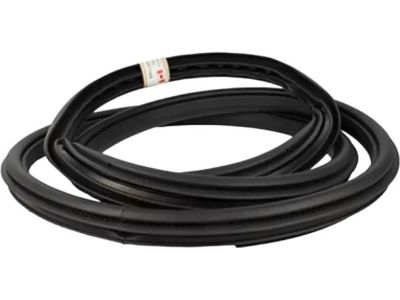 Ford HL3Z-16253A11-A Weatherstrip Assembly - Door Opening, Driver Side HL3Z-16253A11-A Ford Weatherstrip Assembly - Door Opening, Driver Side Product Photo 1 of 4