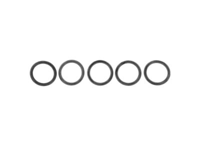 Ford E6TZ-7A469-A O Ring E6TZ-7A469-A Ford O Ring Product Photo 1 of 2