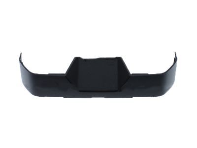 Ford FL3Z-15046B32-BB Panel - Finish