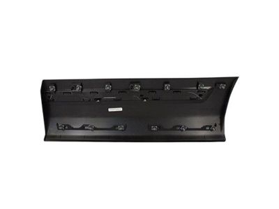 Ford FB5Z-7825556-DA Panel - Finish