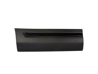 Ford FB5Z-7825556-DA Panel - Finish