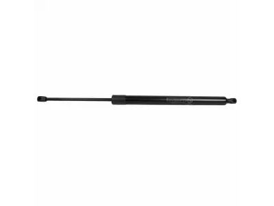 DT1Z-61406A10-A Ford Lift Assembly - Gas Product Photo 2 of 3