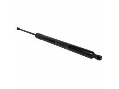 DT1Z-61406A10-A Ford Lift Assembly - Gas Product Photo 3 of 3