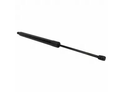 Ford DT1Z-61406A10-A Lift Assembly - Gas DT1Z-61406A10-A Ford Lift Assembly - Gas Product Photo 1 of 3