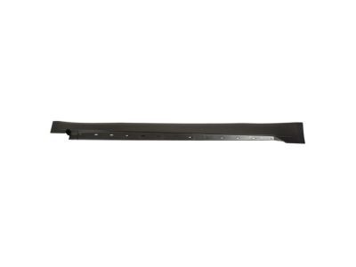 Ford DP5Z-5410176-A Rocker Molding, Passenger Side DP5Z-5410176-A Ford Rocker Molding, Passenger Side Product Photo 1 of 1