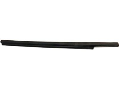 BB5Z-7825596-A Ford Weatherstrip - Door Glass Channel, Passenger Side Product Photo 3 of 4