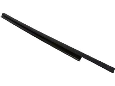 BB5Z-7825596-A Ford Weatherstrip - Door Glass Channel, Passenger Side Product Photo 2 of 4