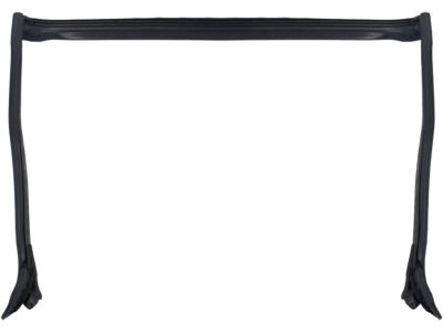 Ford 3R3Z-7603110-AA Weatherstrip - Windshield Glass
