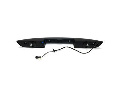 Ford 8L1Z-7843400-AAPTM Handle Assembly - Door Outer