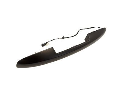 Ford 8L1Z-7843400-AAPTM Handle Assembly - Door Outer