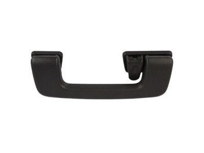 Lincoln 8A5Z-5431407-BA Handle - Assist