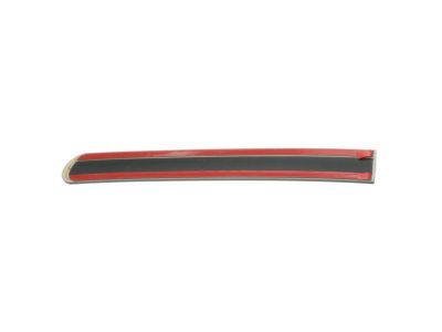 Ford F-150 Door Moldings - XL3Z-1825533-APTM