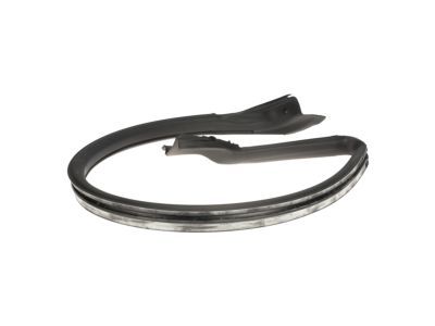 Ford AR3Z-6320709-A Weatherstrip Assembly - Door Opening
