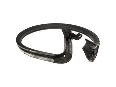 Ford AR3Z-6320709-A Weatherstrip Assembly - Door Opening