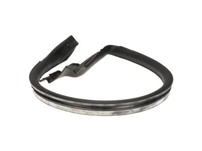 Ford AR3Z-6320709-A Weatherstrip Assembly - Door Opening