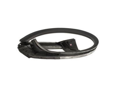 Ford AR3Z-6320709-A Weatherstrip Assembly - Door Opening
