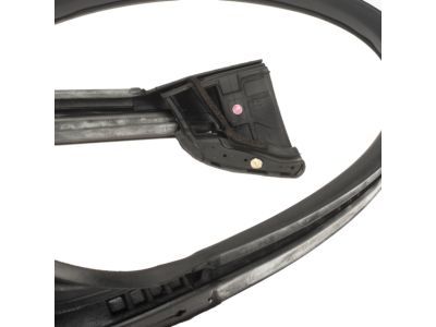 Ford AR3Z-6320709-A Weatherstrip Assembly - Door Opening