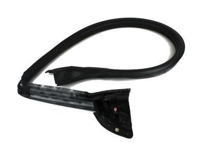 Ford AR3Z-6320709-A Weatherstrip Assembly - Door Opening