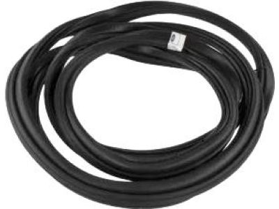 DT1Z-61404A06-E Ford Weatherstrip Product Photo 1 of 1