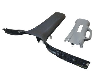 FL3Z-1624346-AB Ford Trim - "B" Pillar, Passenger Side Product Photo 1 of 3