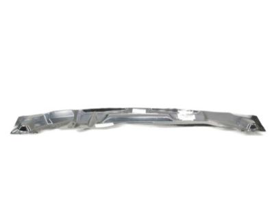 Ford CP9Z-5802012-A Panel Assembly - Cowl Top Outer