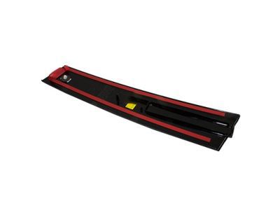 Ford DG1Z-5420555-AA Molding - Door Outside