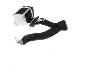 Ford BC3Z-26611B64-AA Seat Belt Assembly