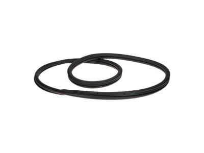 Mercury Mariner Weather Strip - BL8Z-7842084-C