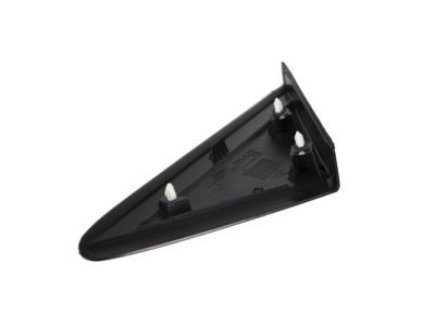 Ford CJ5Z-16004-BA Moulding