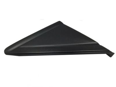 Ford CJ5Z-16004-BA Moulding