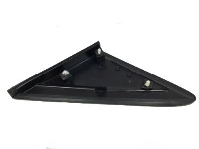 Ford CJ5Z-16004-BA Moulding