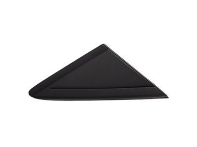 Ford CJ5Z-16004-BA Moulding