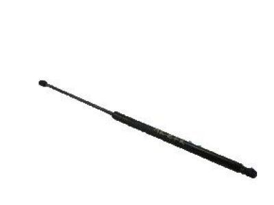 Lincoln DP5Z-16C826-A Lift Assembly - Gas