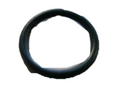 Mercury 1W1Z-19E889-GA "O" Ring                           