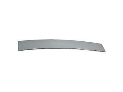 Lincoln 4W1Z-5420555-AAA Molding - Door Outside