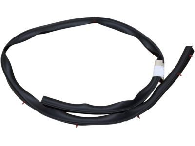 Mercury 8L2Z-78253A44-A Weatherstrip - Door Lower