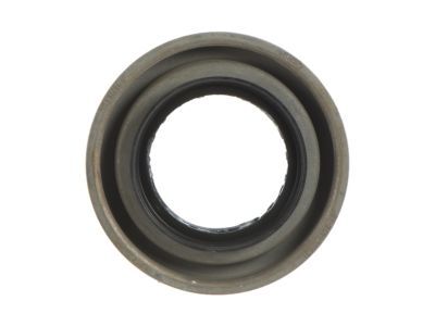 Ford F-150 Differential Seal - BL3Z-4676-A