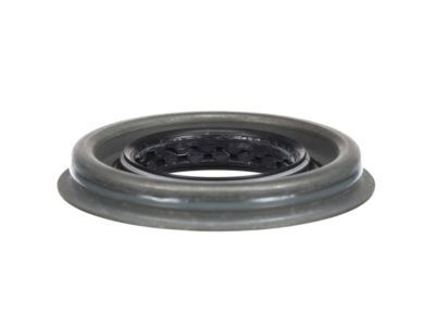 Ford F-150 Differential Seal - BL3Z-4676-A