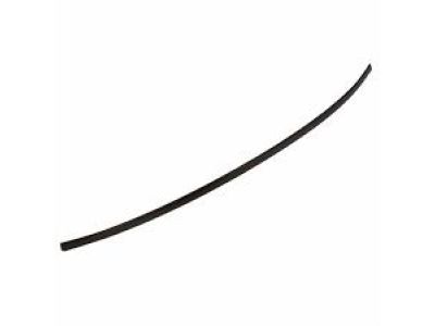 Mercury 5G1Z-5451729-BBPTM Moulding - Roof Side Trim