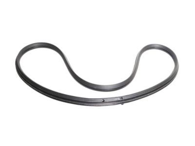 Mercury Monterey Weather Strip - XF2Z-1629904-AA