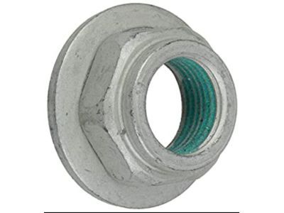 Ford -N620481-S301 Nut - Adjusting Screw -N620481-S301 Ford Nut - Adjusting Screw Product Photo 1 of 1