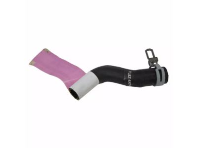 YL8Z-6N746-BA Ford Hose Assembly Product Photo 2 of 2