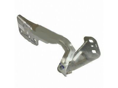Lincoln DP5Z-16796-A Hinge Assembly - Hood
