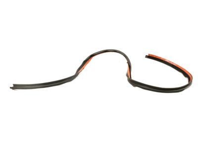 Lincoln DP5Z-5451884-C Seal - Roof Panel Opening