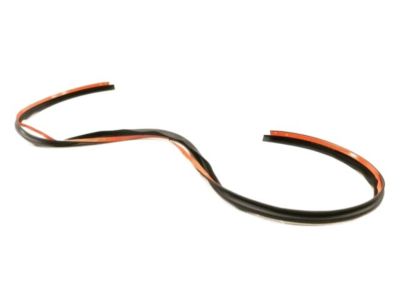 Lincoln DP5Z-5451884-C Seal - Roof Panel Opening