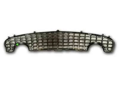 Ford Thunderbird Grille - 1W6Z-8200-AAA