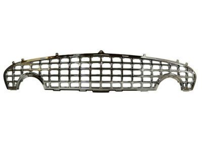 Ford Thunderbird Grille - 1W6Z-8200-AAA