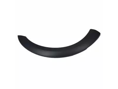 Ford 1L5Z-16038-AAE Moulding, Passenger Side 1L5Z-16038-AAE Ford Moulding, Passenger Side Product Photo 1 of 2