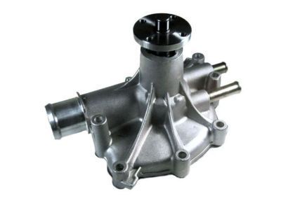 Lincoln FOZZ-8501-A Pump Assembly - Water